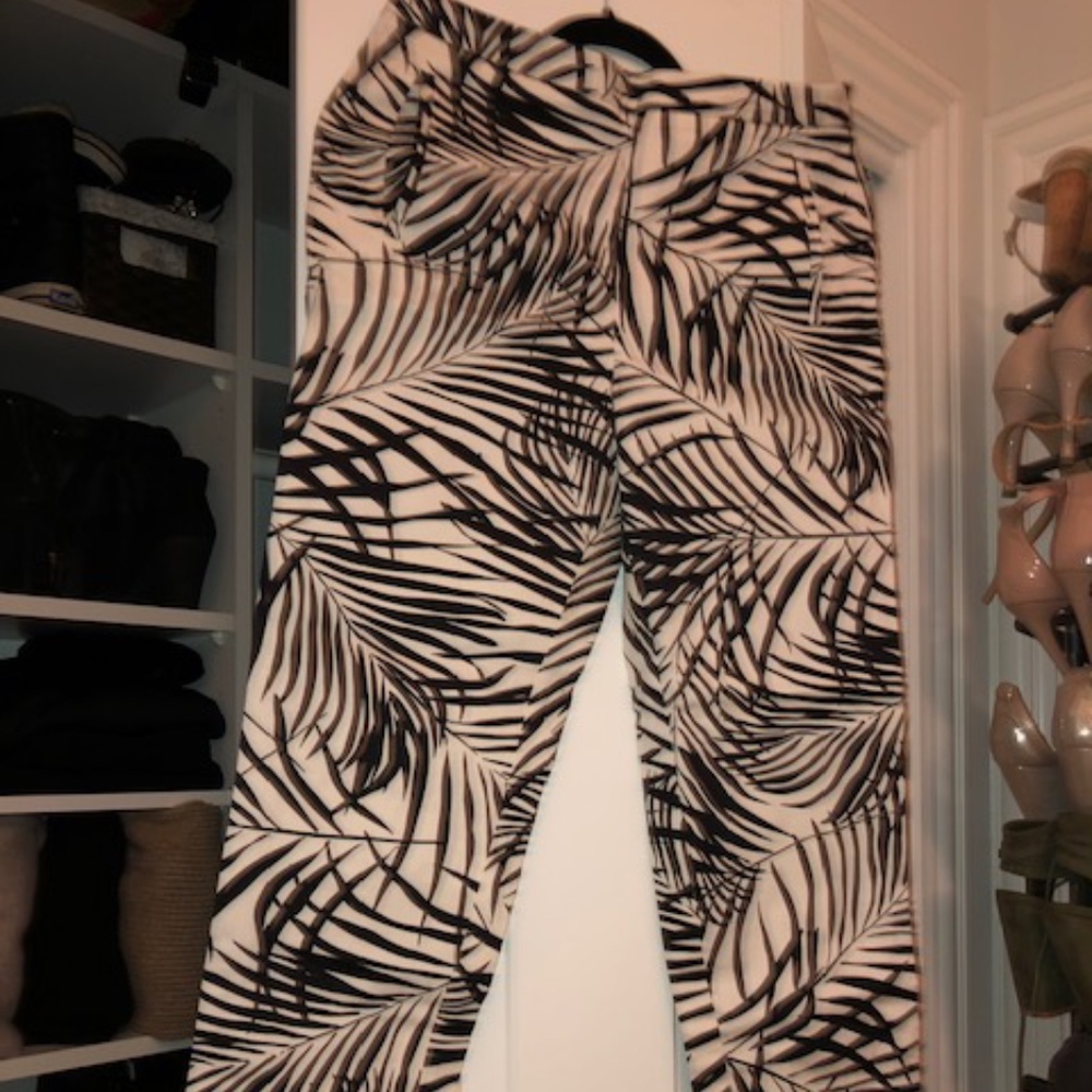 Palm Tree Pants